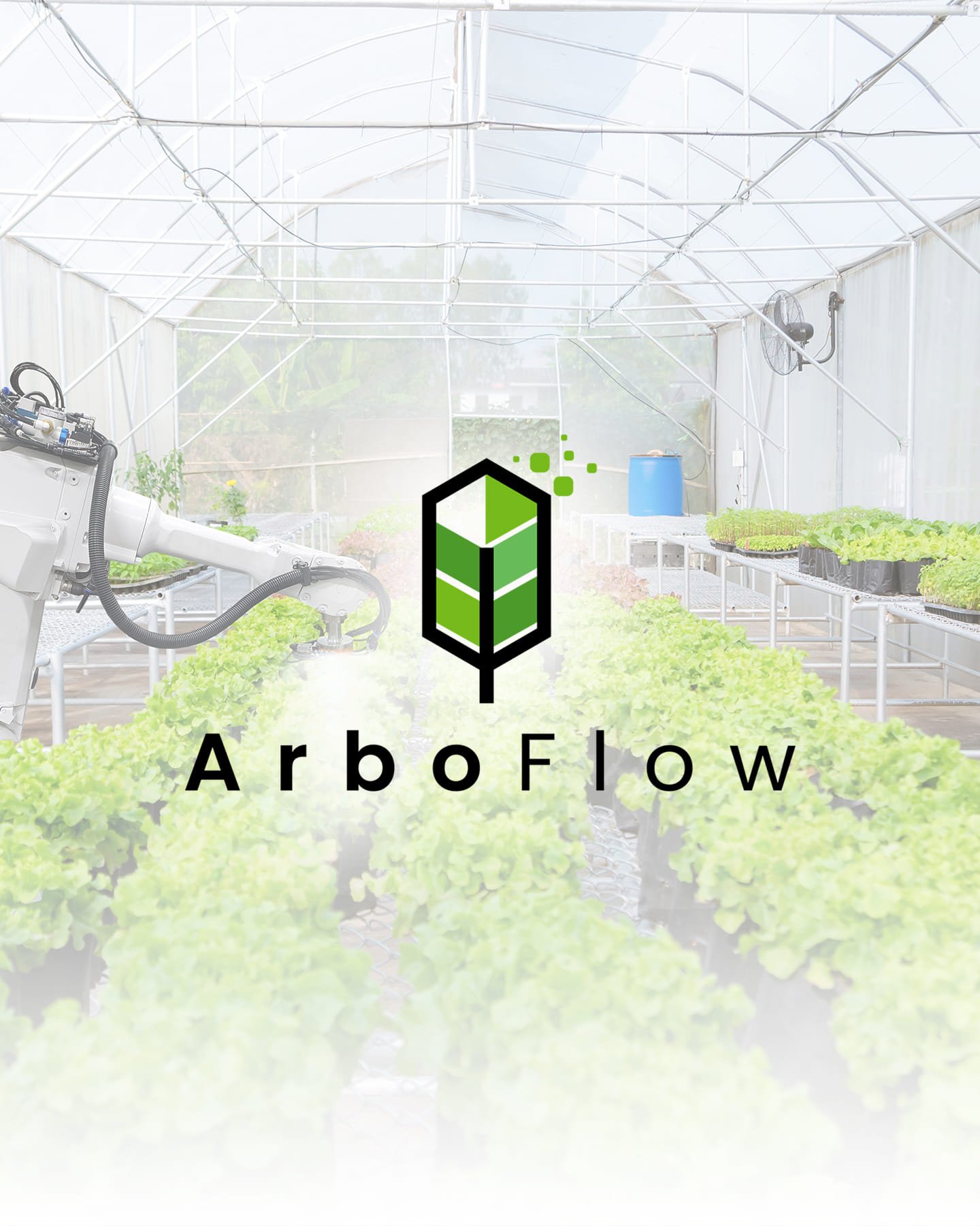 Custom Logo Design - Image 13