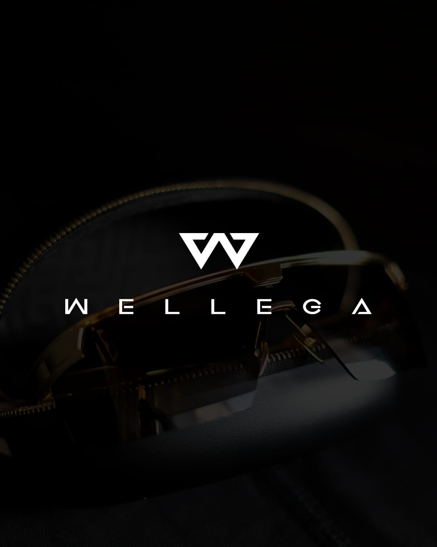 Custom Logo Design - Image 16