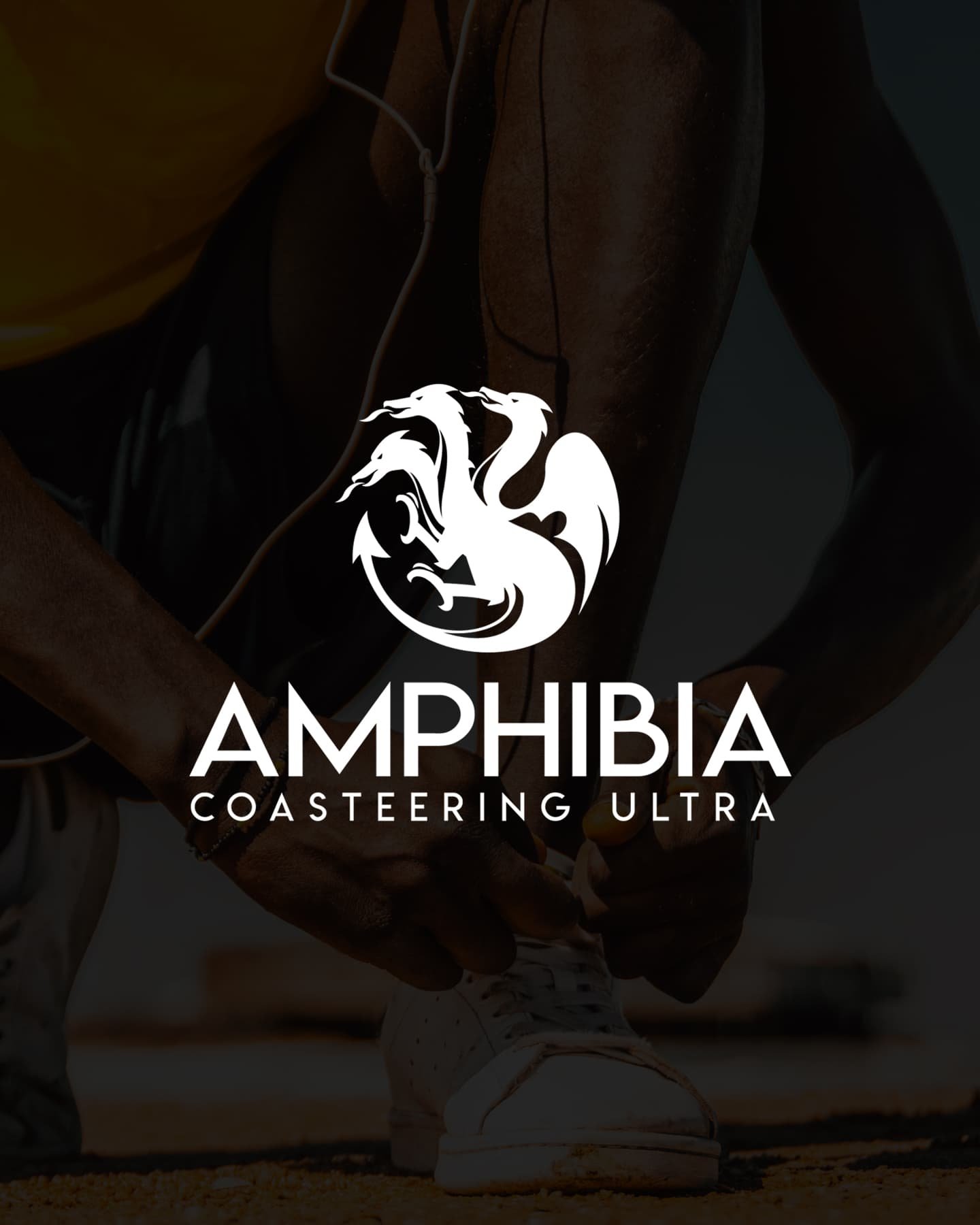 Custom Logo Design - Image 3