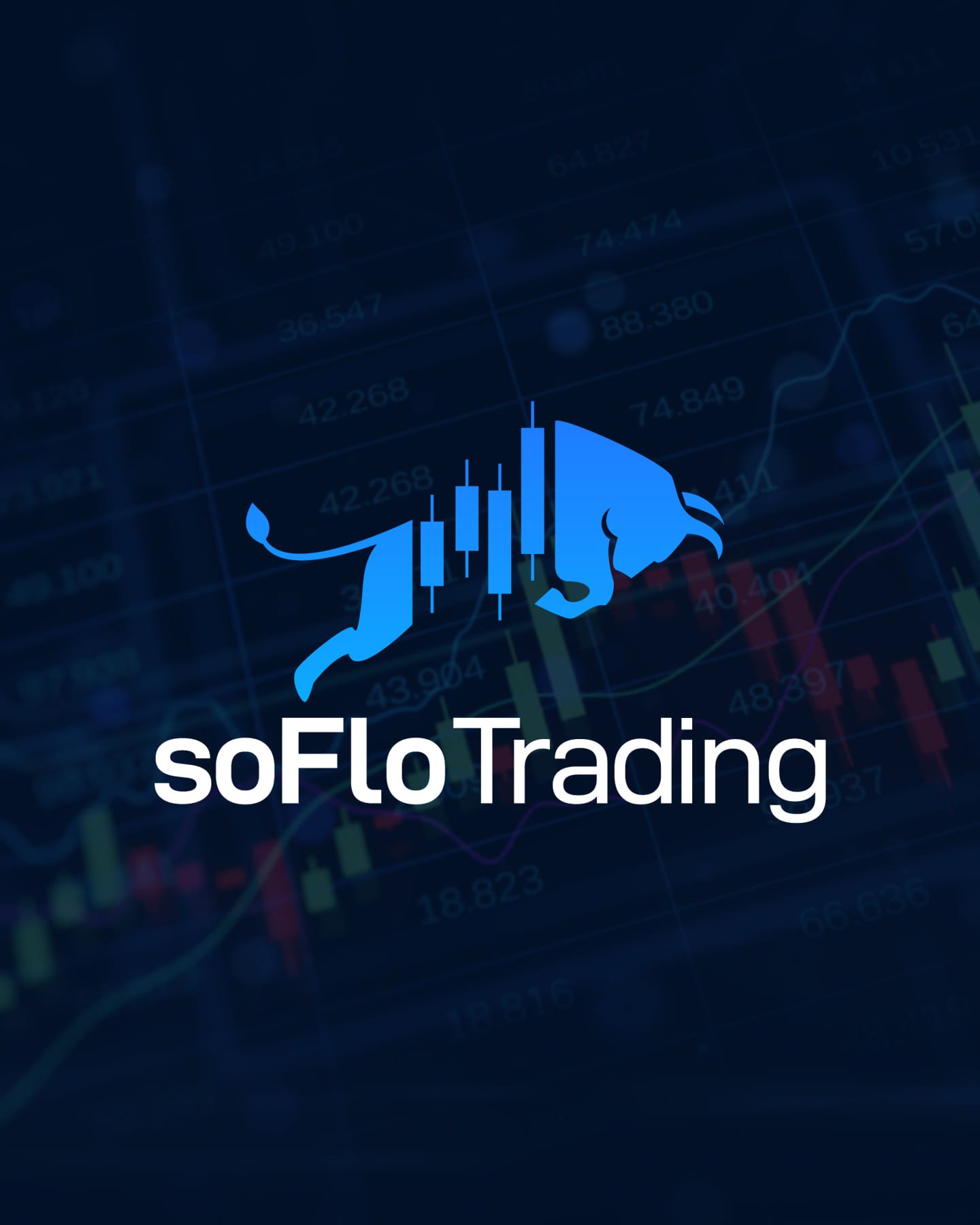 Custom Logo Design - Image 6