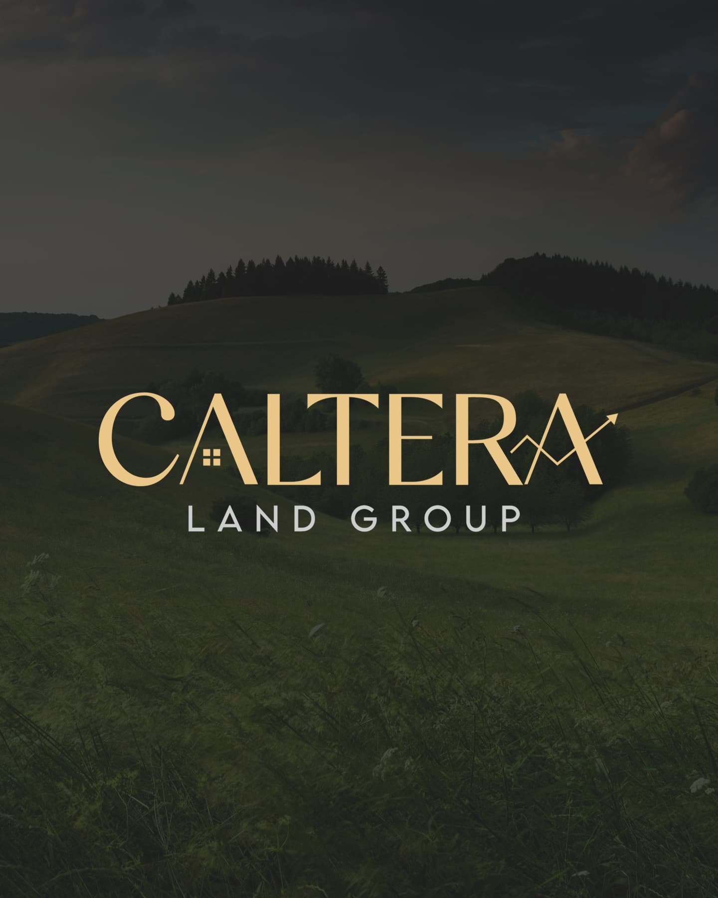 Custom Logo Design - Image 8