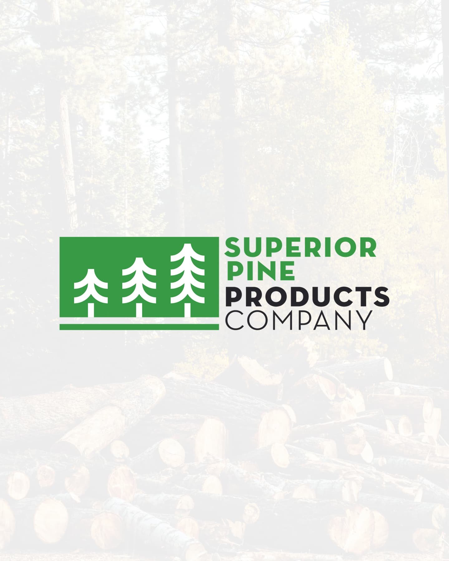 Custom Logo Design - Image 20